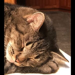 Meet your Posher, Linda